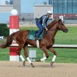 With subsidy, sports betting Monmouth Park set for new season