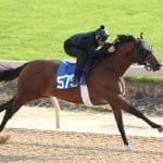 Safety the watchword during Timonium breezes for 2yo sale