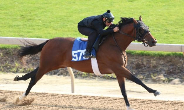 Horses to watch at Fasig-Tipton Midlantic 2yo sale