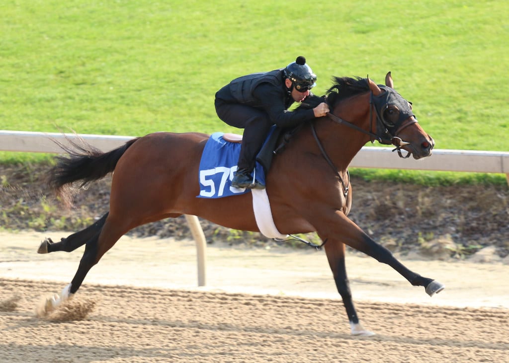 Hip 575 at Fasig-Tipton Midlantic 2-year-old sale