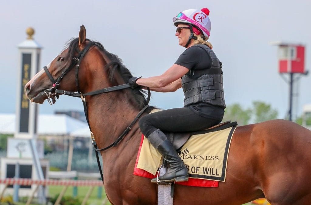Belmont analysis and observations