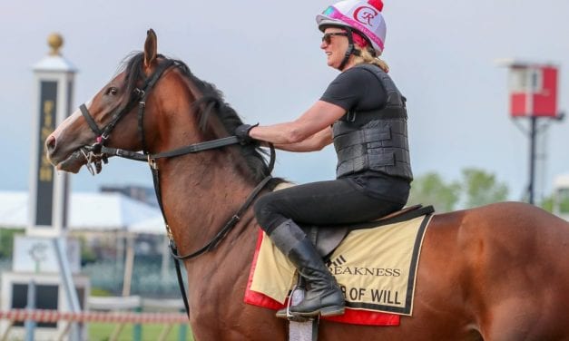 Preakness Profiles: War of Will