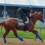 Preakness Profiles: Owendale