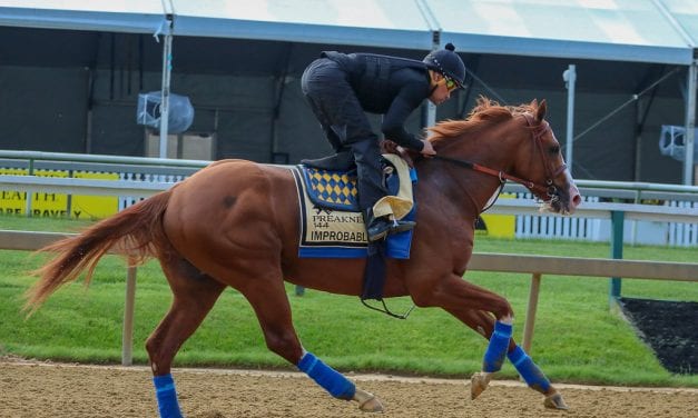 Preakness Profiles: Improbable