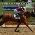 MATCH: Dynatail, Pure Sensation top turf stakes