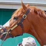 Preakness Profiles: Anothertwistafate