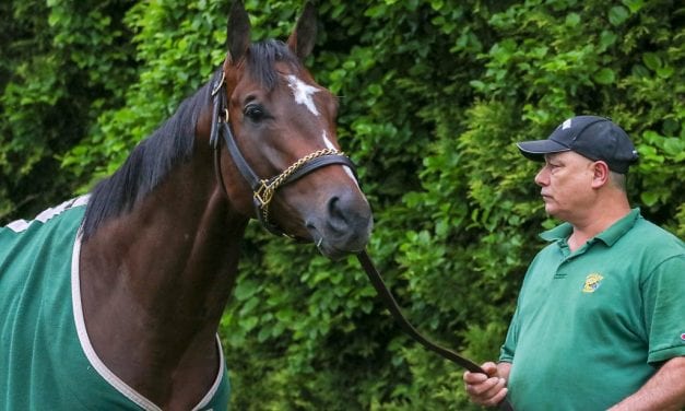 Preakness Profiles: Market King