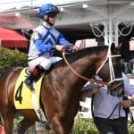 Codex, Genuine Risk, and the Preakness DQ that wasn’t