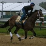 Preakness Profiles: Market King