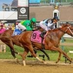 Pimlico: Tesio undercard stakes wraps