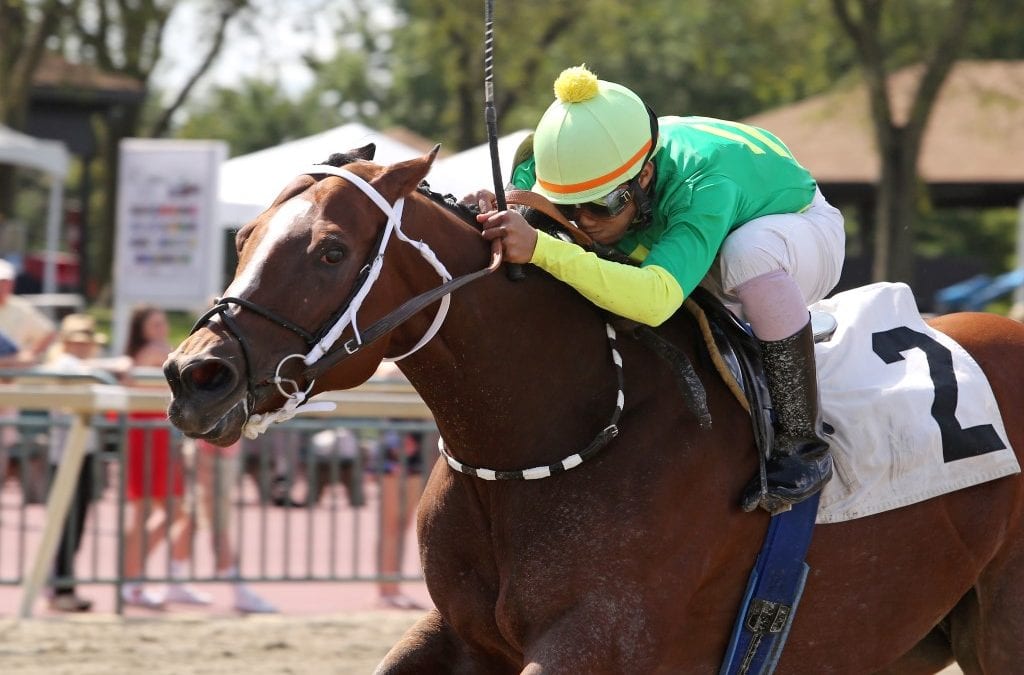 Turning for Home Day stakes results