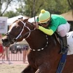 Delaware Park 2019 horses to watch: June 24