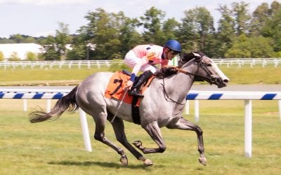 Just like mom, Fionnbharr breaks maiden in second start