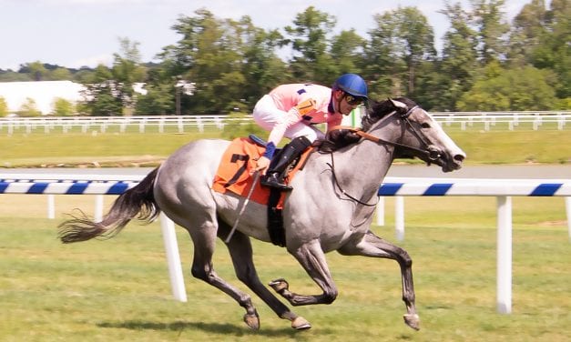 Just like mom, Fionnbharr breaks maiden in second start