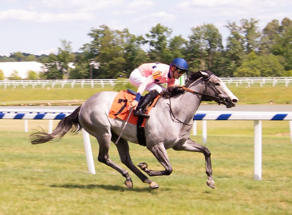 Fionnbharr broke her maiden at Laurel Park. Photo by Jim McCue, Maryland Jockey Club.