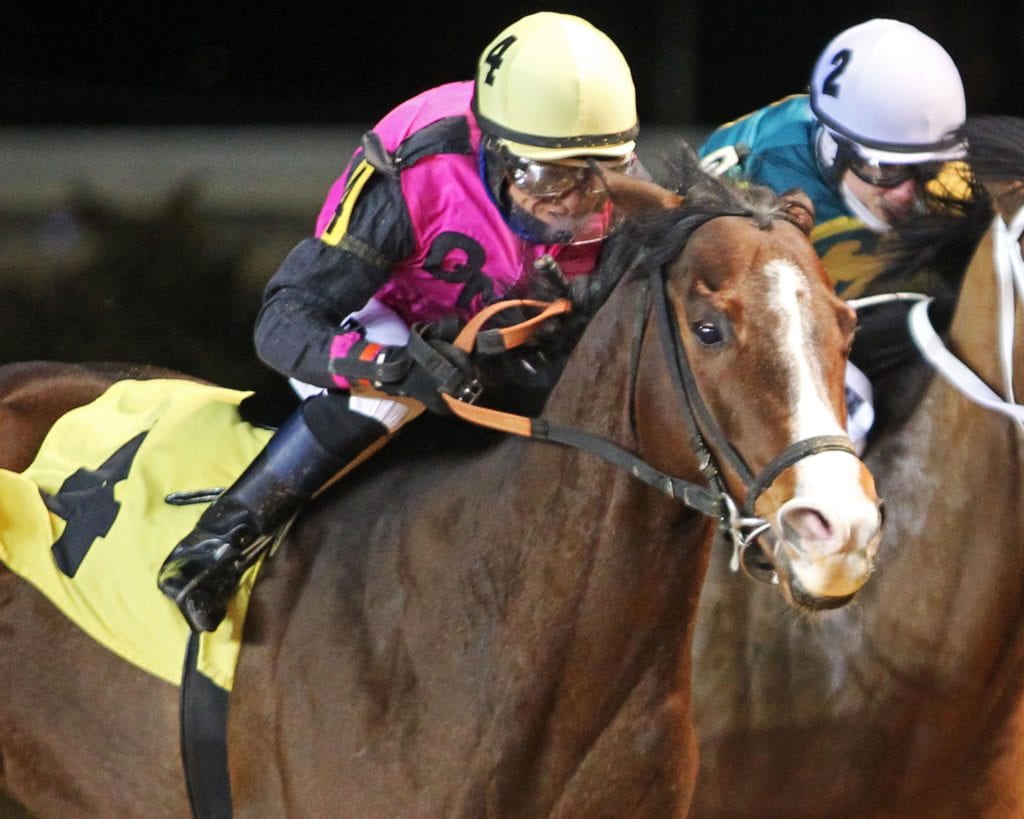 Mean Bean won an allowance race at Charles Town. Photo by Coady Photography.