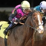 Mean Bean won an allowance race at Charles Town. Photo by Coady Photography.
