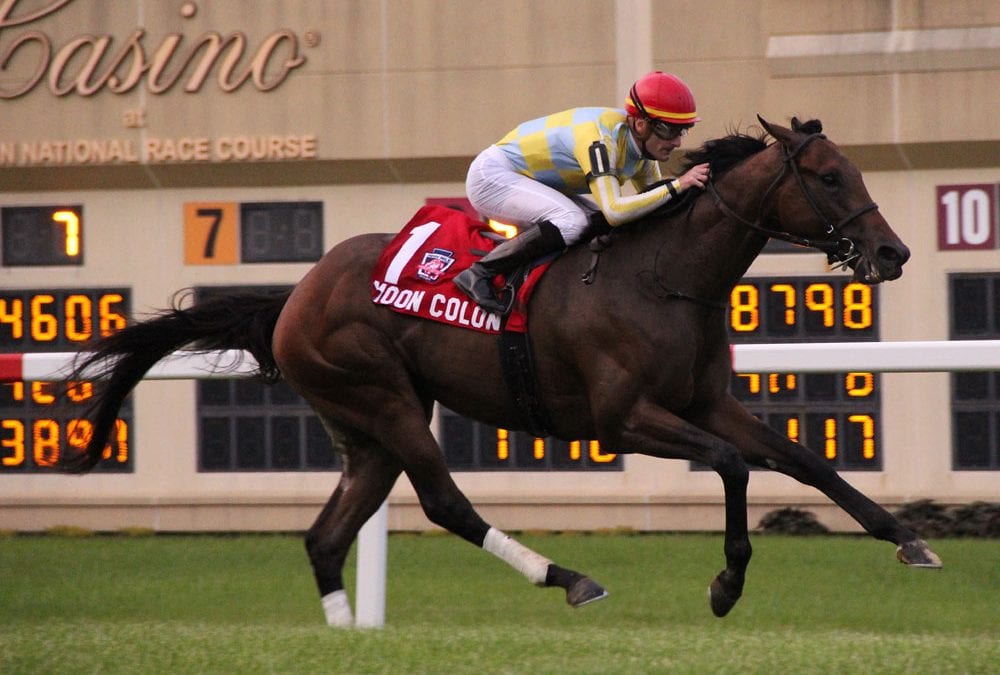 Penn Mile to be canceled