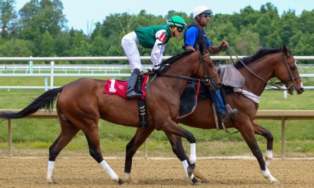 Trainer Jack Kousin back at it – 30 years after leaving