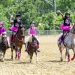 Delaware Park 2019 horses to watch: June 3