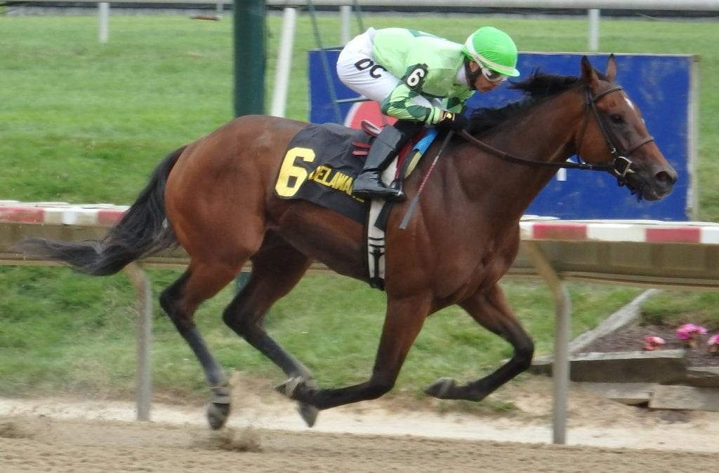 MJC to allow horses from Delaware Park starting July 14