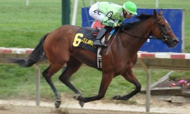 For Delacour, patience paying off in a big way at Delaware Park
