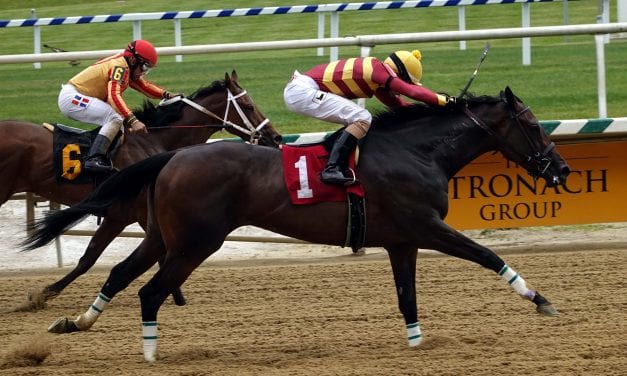 Please Flatter Me, Cordmaker join Top Midlantic-bred Poll