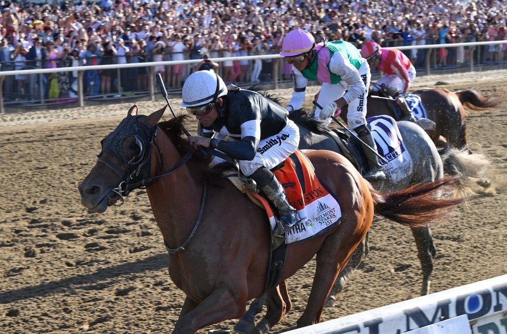 Sir Winston runs, and you can Walk for the Horses: The week in social media