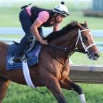 Delaware Park 2019 horses to watch: July 15