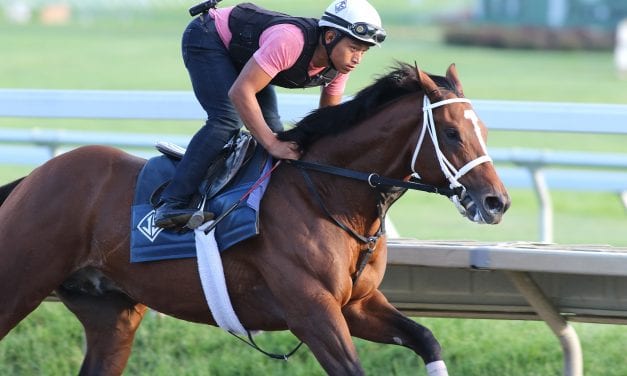 Maximum Security solid favorite in G1 Haskell