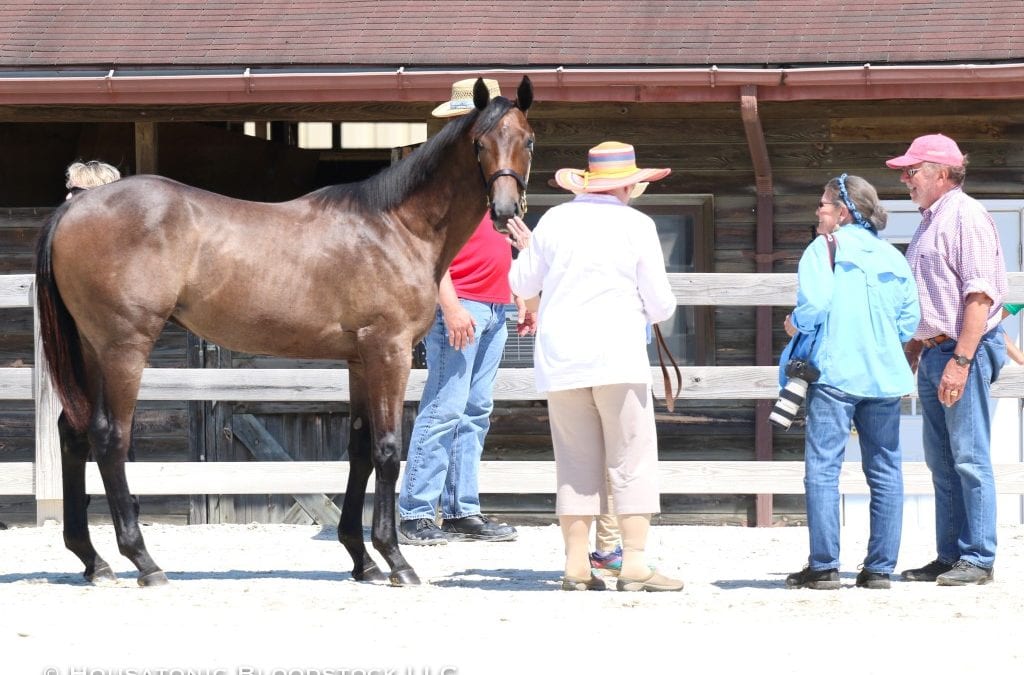 On breeding: Help is on the way in Maryland