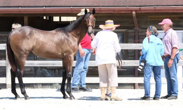 On breeding: Help is on the way in Maryland