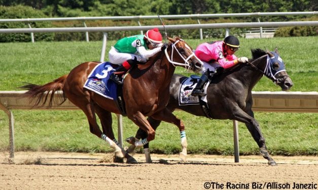 Delaware Handicap day in pictures