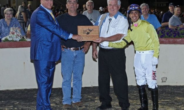 Will trainer Kevin Patterson ever lose again?