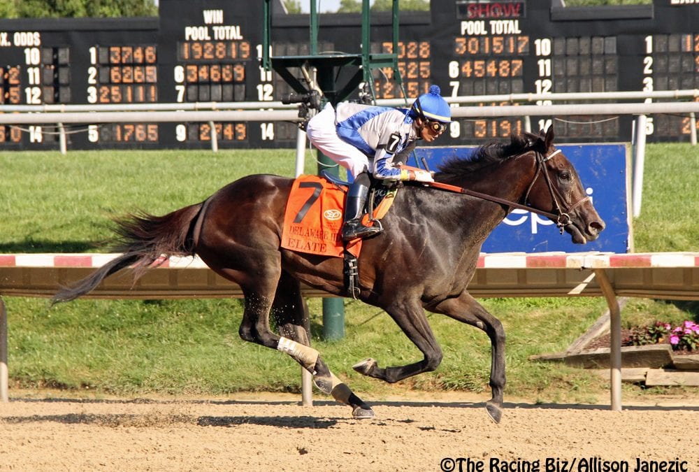 Delaware Park to increase purses on lower-level races