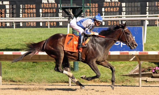 Elate “back to old form” with dominant Delaware Handicap score