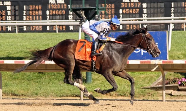 Delaware Park to increase purses on lower-level races