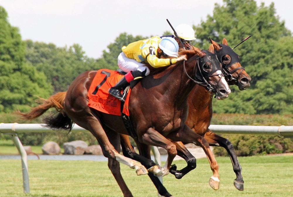Delaware: Stolen horses, unlicensed participants, and more from stewards
