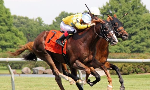 Delaware: Stolen horses, unlicensed participants, and more from stewards