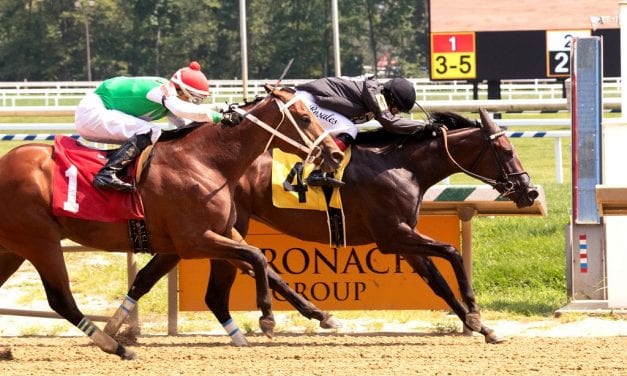 Hello Beautiful, Gifted Heart impress in Laurel Park scores