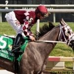Maximum Security out but tough PA Derby field remains