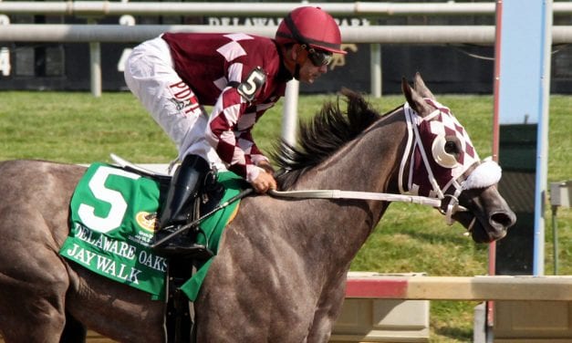 Top field set for Saturday’s Cotillion