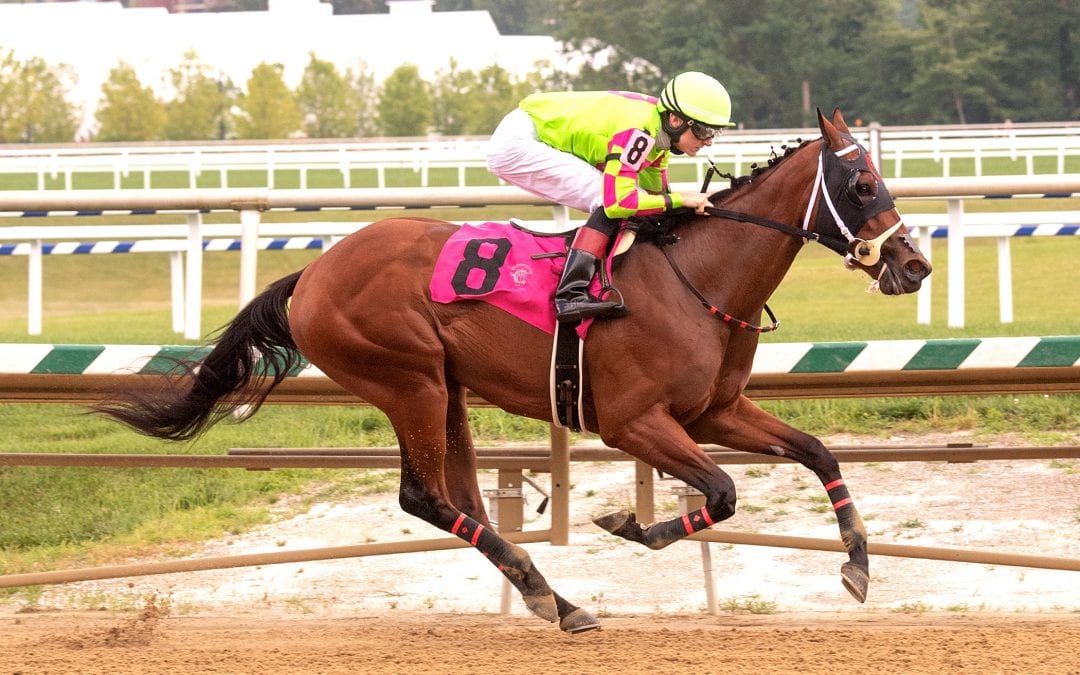 Five answers from this weekend’s Midlantic stakes
