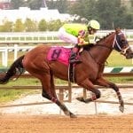 Horsemen: Racing protesters lack knowledge, common sense