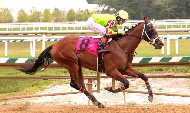 Miss J McKay pointed to Breeders’ Cup