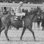 Just Howard, weather big winners: The week in social media