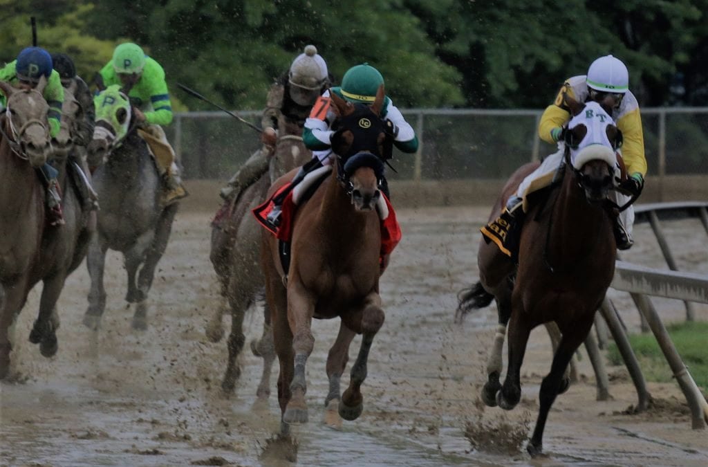 Piassek: Criticizing PETA won’t save horses, or racing