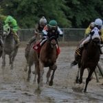 Sharing zooms to head of Top Midlantic-bred Poll
