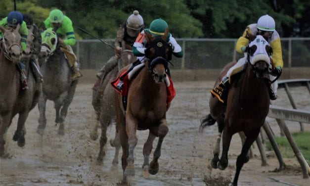 Piassek: Criticizing PETA won’t save horses, or racing