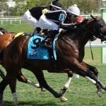 Delaware: Murph, No Sabe Nada score